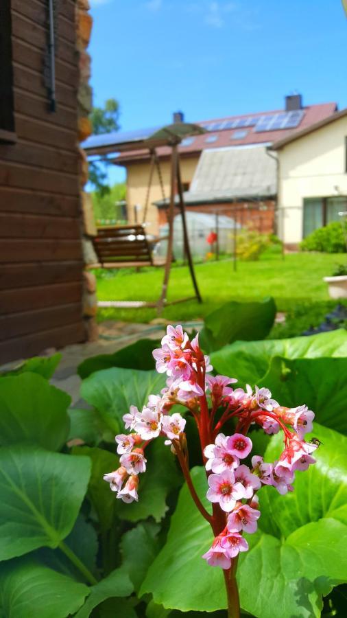 Vila Uosis Palanga Bagian luar foto